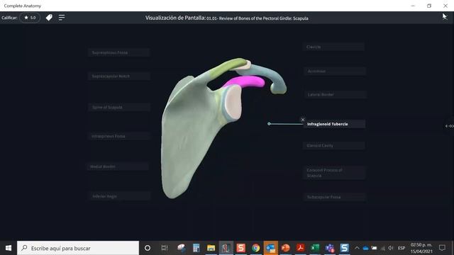 UAM, Complete Anatomy Basic, La plataforma de anatomía 3D más avanzada del mundo смотреть онлайн
