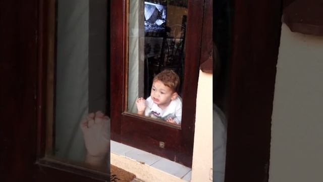 Baby cleaning window with his face смотреть онлайн