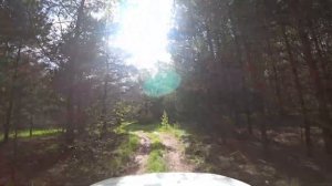 По Касимовскому лесу @AAvmeste