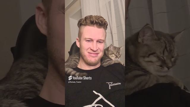 Он лучше всех знает как создать уют 😊😊😊 #shorts смотреть онлайн