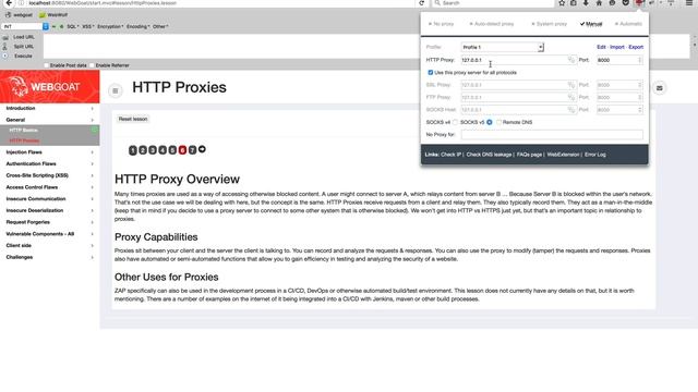 Webgoat 8- HTTP Basics and Proxies смотреть онлайн