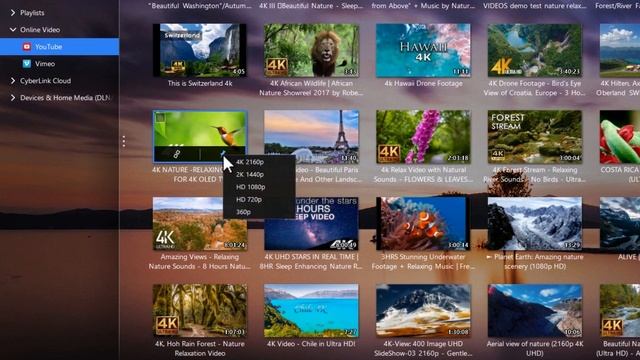 PowerDVD 19 - Pin YouTube Videos in Any Quality You Want смотреть онлайн