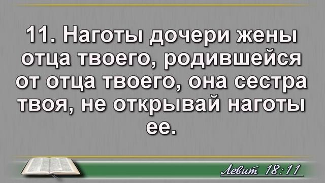 Чтение Библии на 23 Февраля: Псалом 54, Деяния 26, Левит 18, 19 смотреть онлайн
