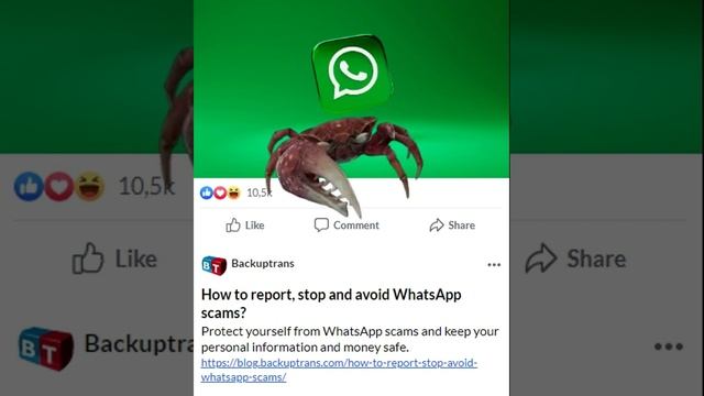 How to report, stop and avoid WhatsApp scams смотреть онлайн