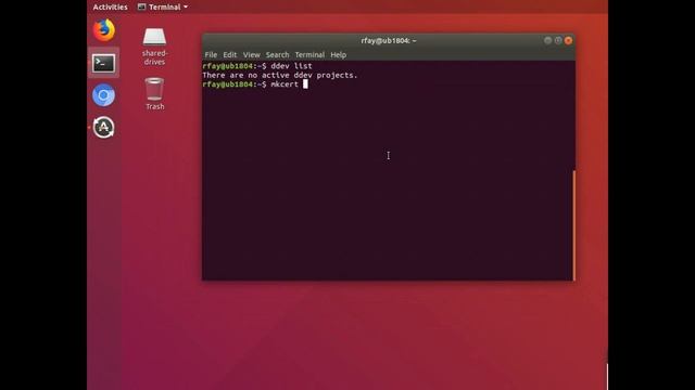 Trusted HTTPS with DDEV-Local смотреть онлайн