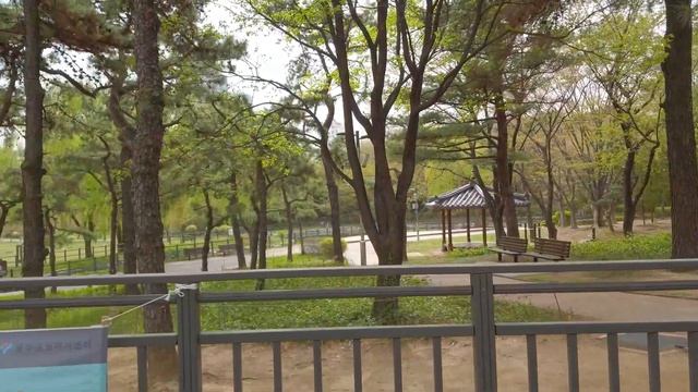 Last Cherry Blossoms at Yongsan Family Park 2023 смотреть онлайн