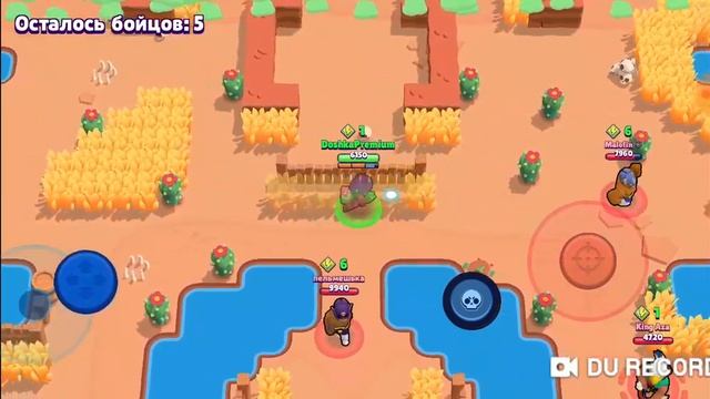 Easy Win в Brawl Stars