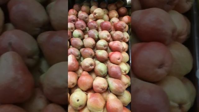 Vídeo aula - APPLE/ORANGE/PEAR/BANANA - Teacher Carla Moro смотреть онлайн