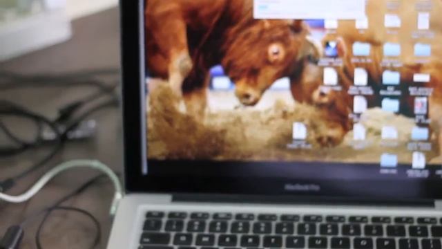 Macbook Pro 2.4 Ghz 4Gb Ram HD 250 Gb смотреть онлайн