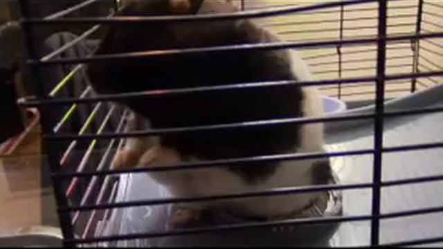 Fuzzy Therapy Ogrodnik смотреть онлайн