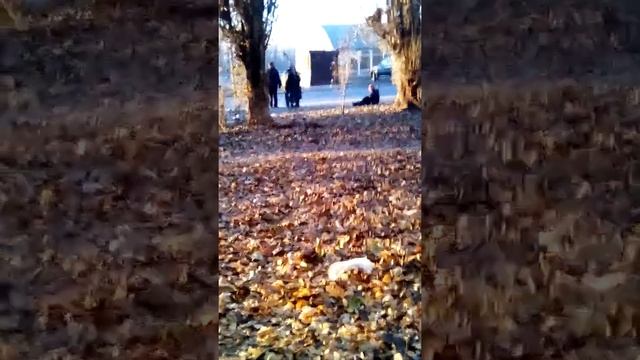 Разборки Воронеж. Бухую тетку обваровывают собутыльники смотреть онлайн