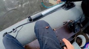 ФОРВАТЕРНЫЙ ЛЕЩ НА КОЛЬЦО (ЯЙЦА) / РЫБАЛКА С ЛОДКИ НА ЛЕЩА