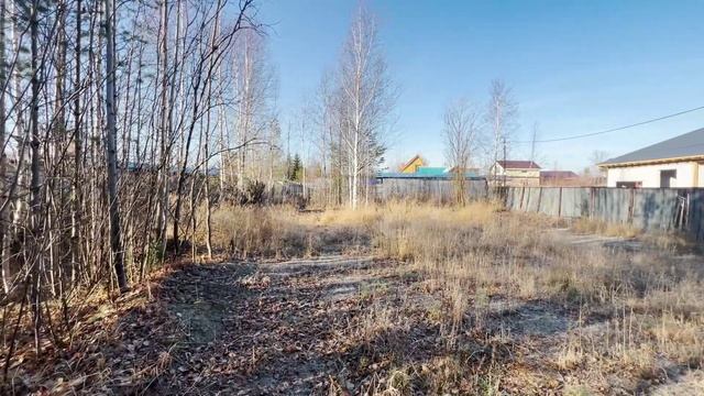 2039775 (1).mov смотреть онлайн
