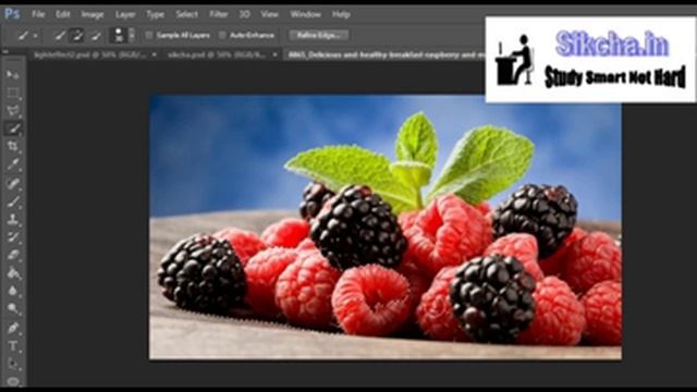 Use of magic wand tools and tolerence смотреть онлайн