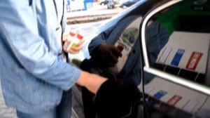 Митилит !!! Работает или нет ? Видеотчет