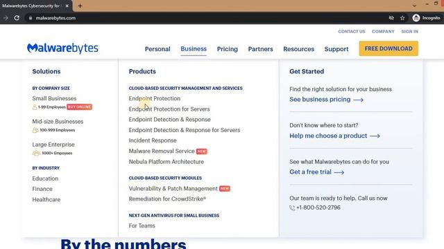 Malwarebytes Cyber Protection For Everyone Either For Business Or Personal Use In 2022 смотреть онлайн