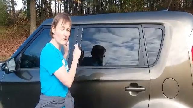 Keep Doors/Windows Closed смотреть онлайн