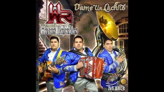 Webos Rebeldes - Quiero que me quieras (Álbum 2014) смотреть онлайн
