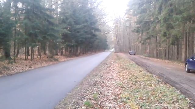 Seat leon tdi 4x4 ARL 280hp test смотреть онлайн