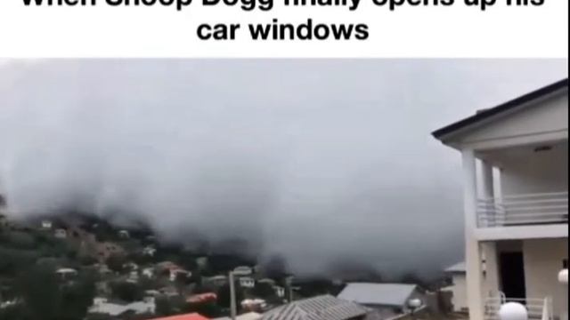 When snoop Dogg opens his window смотреть онлайн