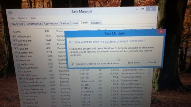 Windows 8 Pro BSOD glitch (Text messed up) смотреть онлайн