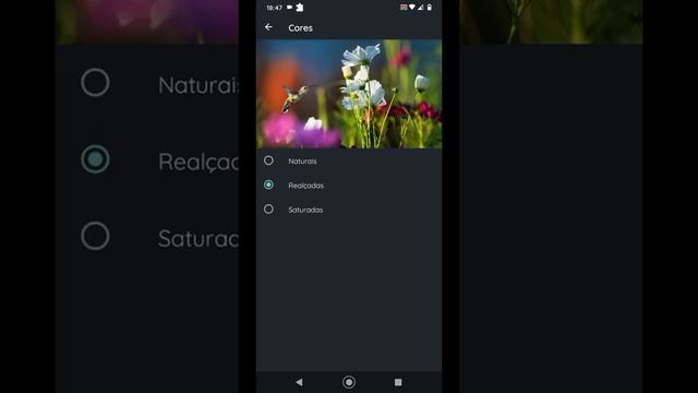 Motorola One Macro - Android 10 (Official) смотреть онлайн