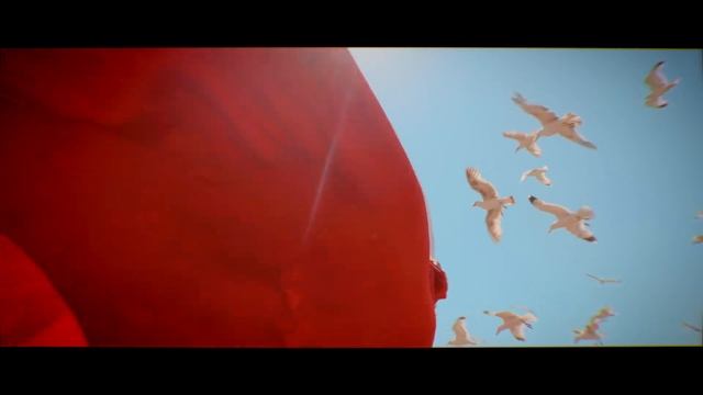 Turkey Cinematic Video | Shreepad Gaonkar | Istanbul Travel Video смотреть онлайн