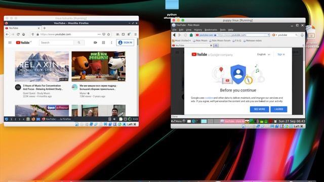 Puppy linux vs lubuntu сравнение смотреть онлайн
