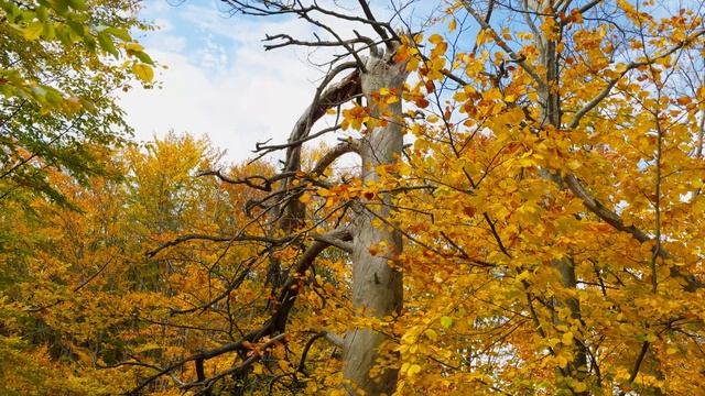 iPhone 15 Pro Max Camera Cinematic Video Test (ProRes LOG) смотреть онлайн
