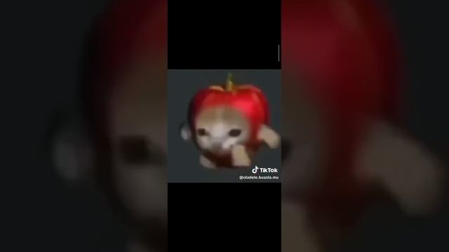 apple cat running for 10 hours theme song смотреть онлайн
