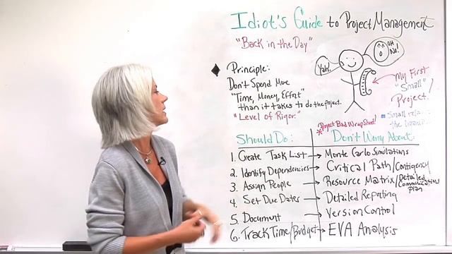Idiot's Guide To Project Management (For Dummies As Well) смотреть онлайн