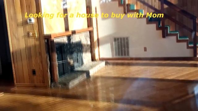 Deer eating apples and looking at a house to buy with mom смотреть онлайн