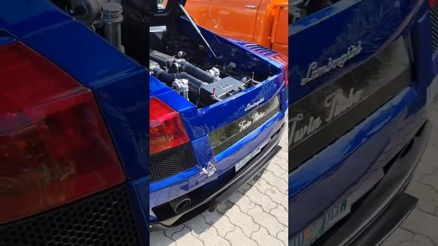 Bagged Liberty Walk 6 Speed Twin Turbo Gallardo!😮 #lamborghini #bagged #carshow смотреть онлайн