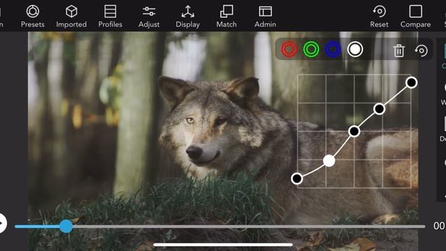 Easy Color Grading Techniques for iPhone Videographers смотреть онлайн
