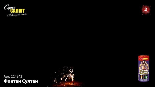 СС4843_2024 смотреть онлайн