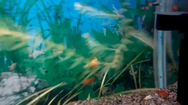 Water world # 16 / Первопоселенцы - неделя спустя смотреть онлайн