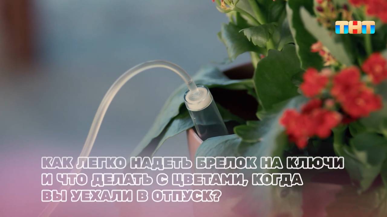 Как легко надеть брелок на ключи, и что делать с цветами, когда вы в отпуске? смотреть онлайн