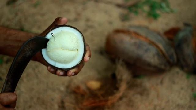 coconut apple shake|Spongy Sweet Taste#coconutapple#shake смотреть онлайн