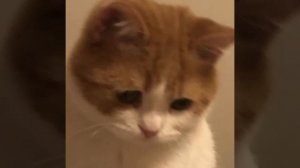 My baby, My baby, You're my baby say it to me