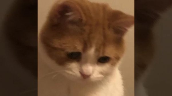 My baby, My baby, You're my baby say it to me