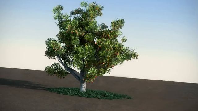 3D Model of Apple With Red Apples LowPoly Tree Review смотреть онлайн