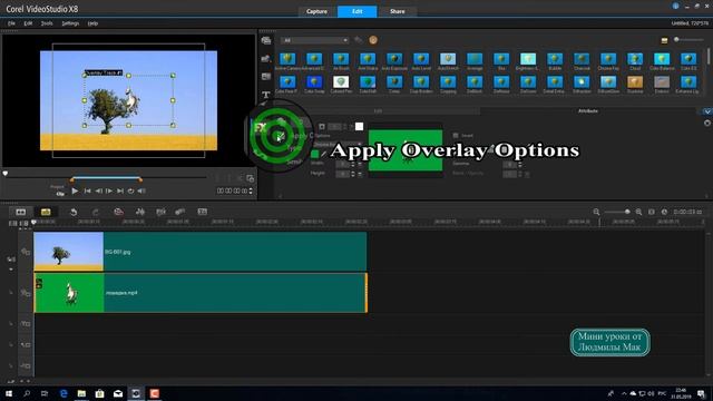 Хромакей в Corel VideoStudio Pro X8 смотреть онлайн