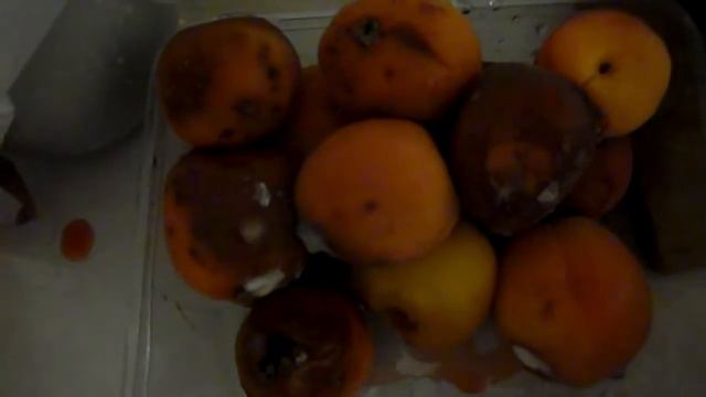 Mouldy fruit after 4 days from purchase смотреть онлайн