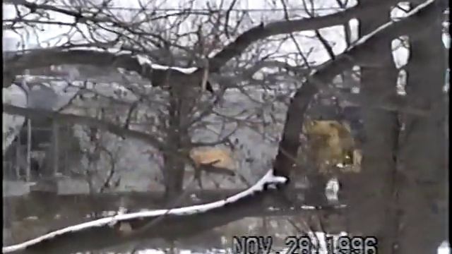 CSXT Plymouth Subdivision Vol #25 - 1996-1997 смотреть онлайн