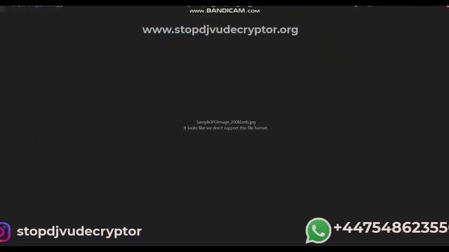 QOQA Ransomware Decryptor Files Recovery | qoqa qowd qotr Qoqa decryptor Stop DJVU Decryptor смотреть онлайн