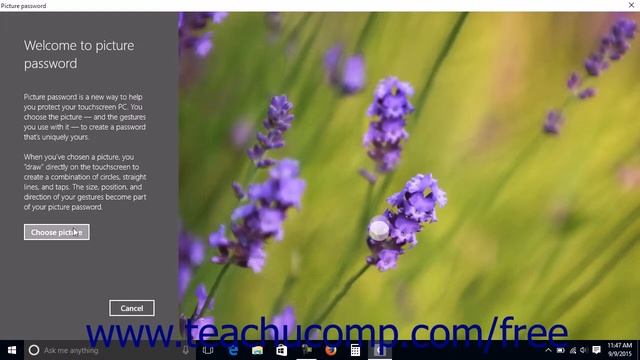 Windows 10 Tutorial Sign-in with a PIN or Picture Microsoft Training смотреть онлайн