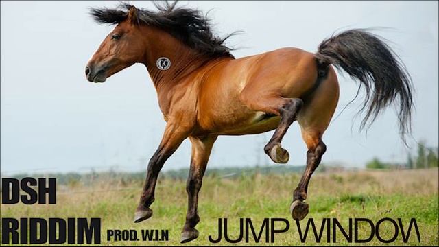 ZIBO - JUMP WINDOWS (DSH RIDDIM) PROD. BY W.I.N смотреть онлайн
