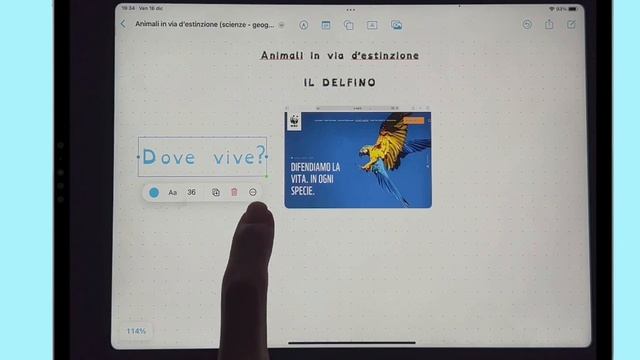 App FREEFORM (2) смотреть онлайн