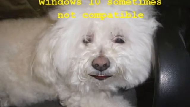Old Dell printers & Windows 10 - may be problem смотреть онлайн