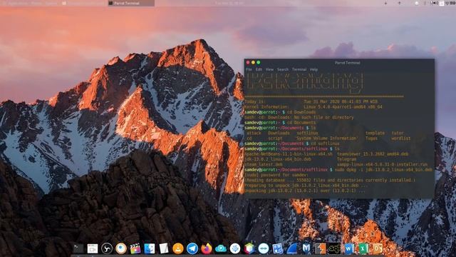 Install Jdk 13 dan Apache Netbeans 11.1 In Linux смотреть онлайн